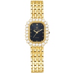 PARTY LADY OPA28015DLK-VD