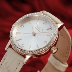 STELLA CHANCE 53578-LGSVCR-2