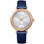 ECO-DRIVE CLASSIC EM0763-07A