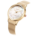 ECO-DRIVE CLASSIC EM0813-86Y