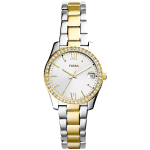  SCARLETTE MINI ES4319