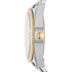  SCARLETTE MINI ES4319