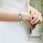 QUARTZ CLASSIC EZ6360-50D