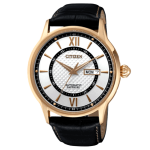 AUTOMATIC CLASSIC NH8326-02A