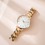 CLASSIC 53643-RGSVRG-2