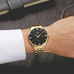 TIMEPIECE TE SG1071.1401TE