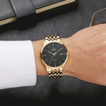 TIMEPIECE TE SG1073.1401TE