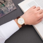 CLASSIC SG3001.4602CV