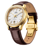 AUTOMATIC CLASSIC SG88801.4602AT