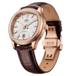 AUTOMATIC CLASSIC SG88801.4902AT