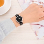 CLASSIC SL3002.4101CV