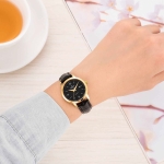 CLASSIC SL3002.4601CV