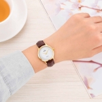 CLASSIC SL3004.4602CV