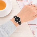 CLASSIC SL3007.4101CV