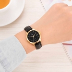 CLASSIC SL3007.4601CV