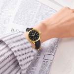 CLASSIC SL3008.4601CV