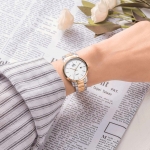 CLASSIC SL3010.1202CV