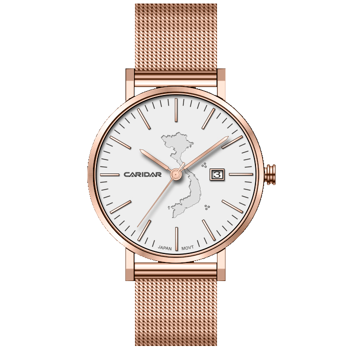 CLASSIC S MAP DIAL CAR776L-VHT